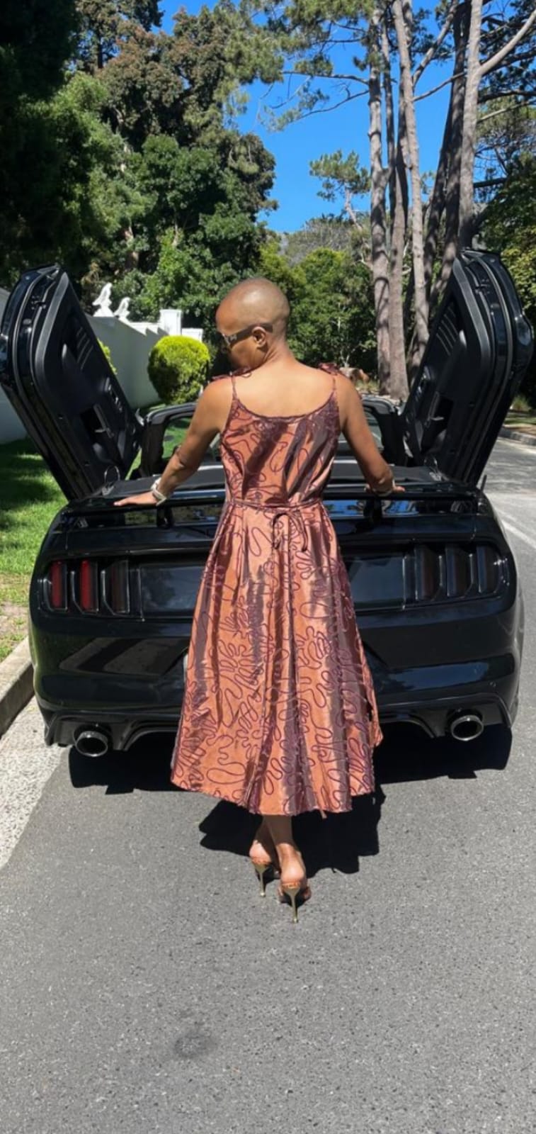 Dallas dress-Printed velour taffeta