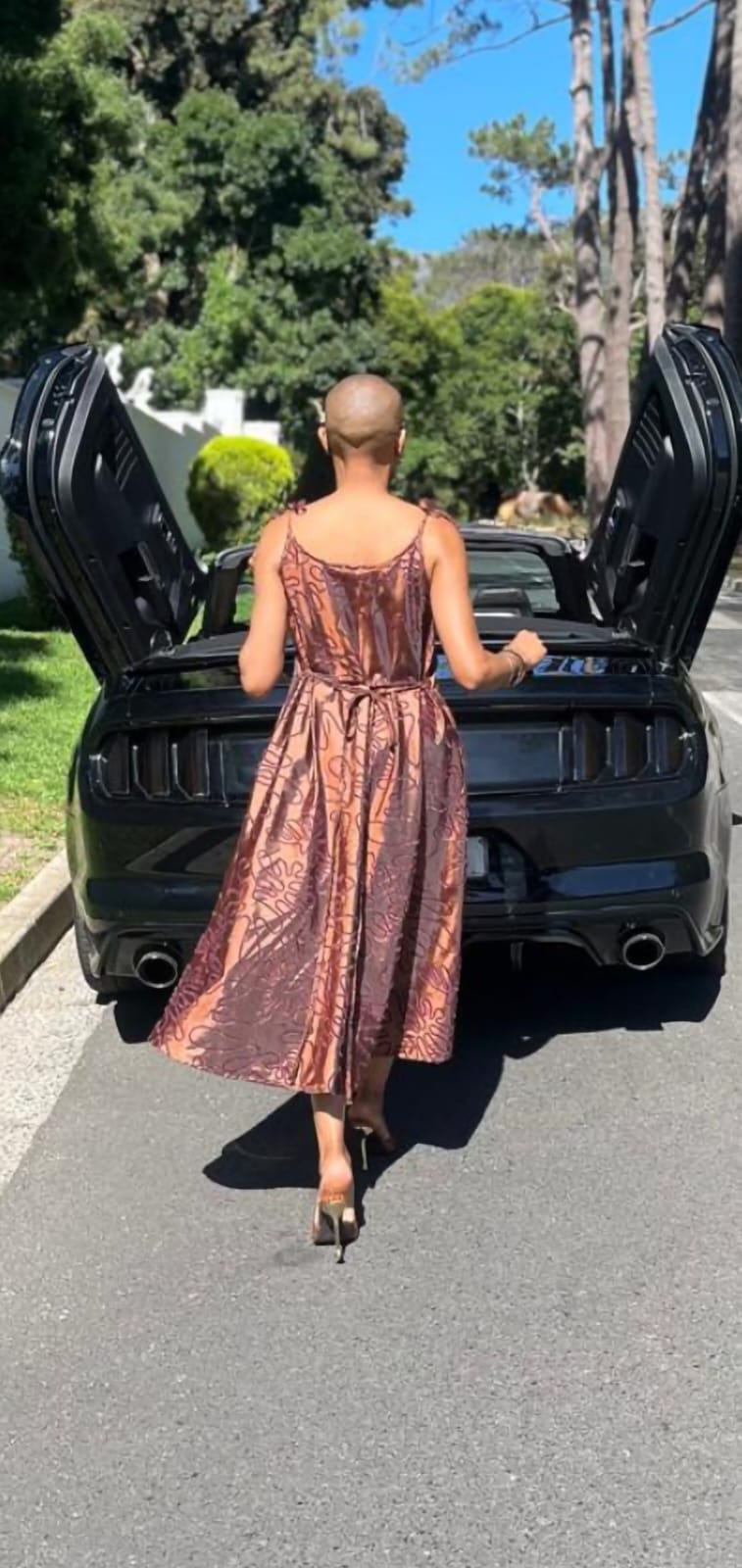 Dallas dress-Printed velour taffeta